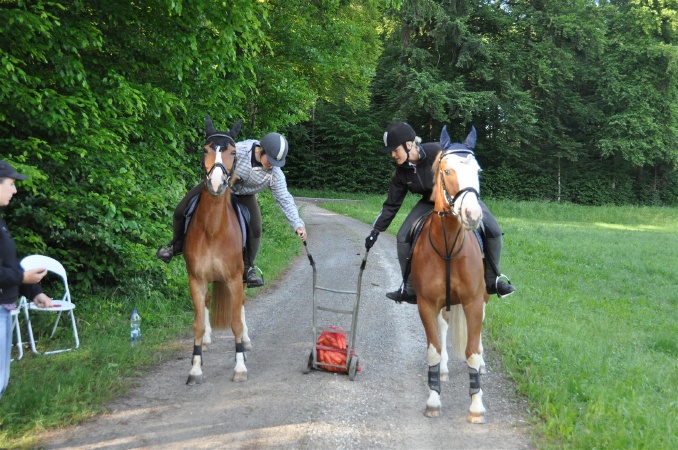 DSC_0091 - HOMEPAGE.JPG